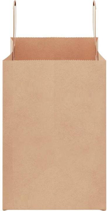 Immagine prodotto VidaXL Sacchetti di carta kraft 50 pezzi con maniglia marrone 32x17x25 cm (Borsa da regalo, 50 x)