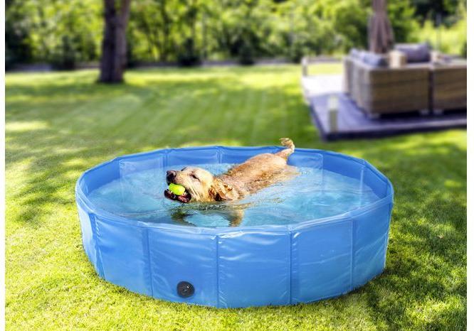 Produktbild Flamingo Doggy Splash Pool Blue M - (540058510924)