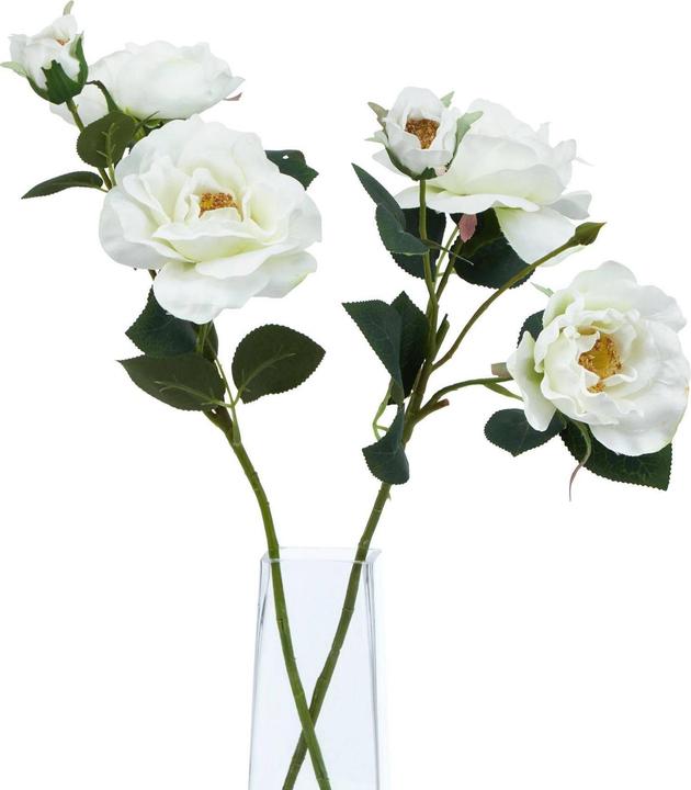 Immagine prodotto Hill Interiors The Natural Garden Collection Rosa Tea Fiore Artificiale (60 cm)