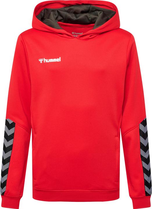 hummel Authentic Kids Poly Hoodie
