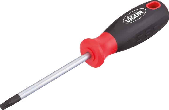 Vigor Tournevis Torx T8 (Section en T)