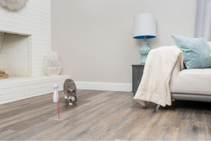 Actual product image PetSafe Bolt (Catmint toy)