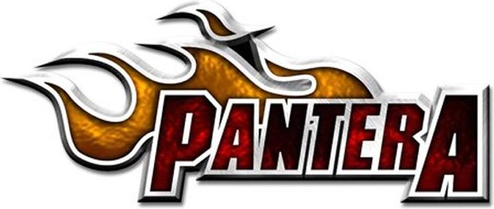 Produktbild Pantera Flamme Logo Abzeichen Metall