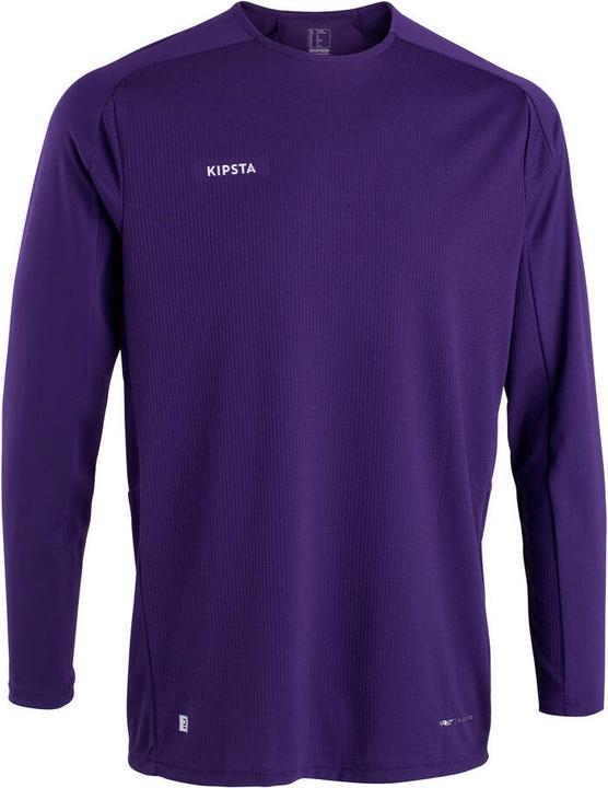 Viola
