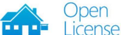 Immagine prodotto Microsoft MS Liz Project Pro (1 Utente, 12 mesi)