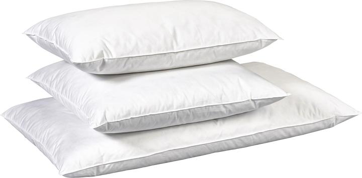 Image du produit Billerbeck Edition Madlen (65 x 65 cm)