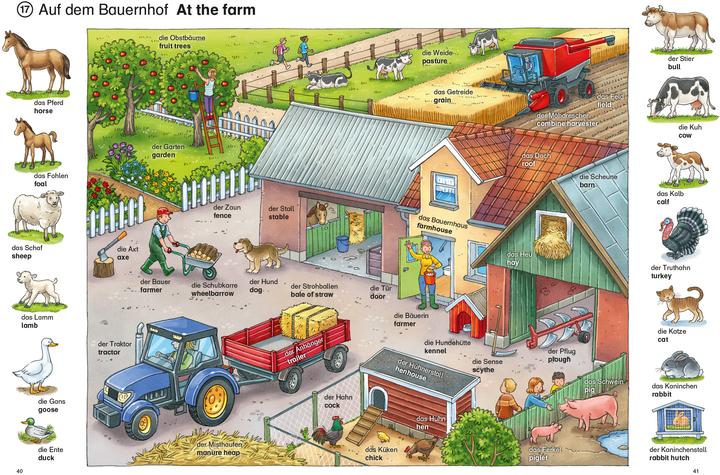 Produktbild Mein erstes Englisch Bildwörterbuch mit Audio-Download (Deutsch, Joachim Krause, gondolino Bildwörter- und Übungsbücher, 2022)