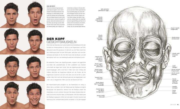 Image du produit Anatomie für Künstler (Allemand, Sarah Simblet, 2021)