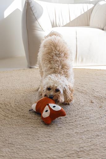 Immagine prodotto Designed by Lotte fox vido (Cane di peluche)