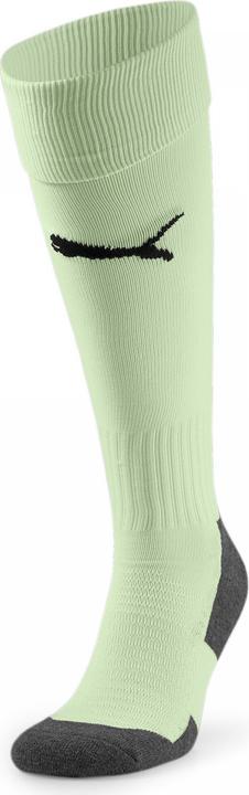 Actual product image Puma Team LIGA Socks CORE-703441 (47 - 49)