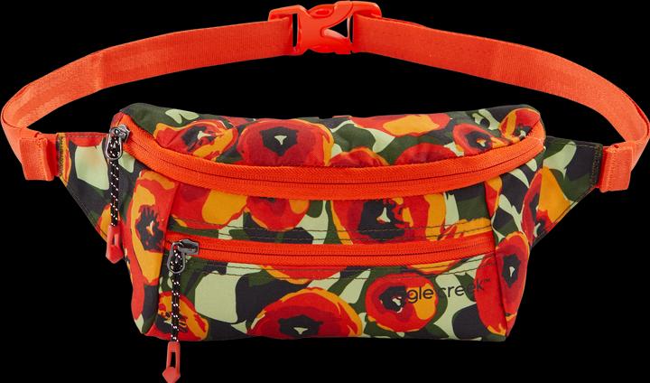 Eagle Creek Stash Cross Body Bag