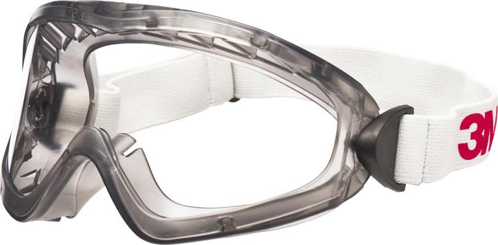 3M Veiligheidsbril 2890S