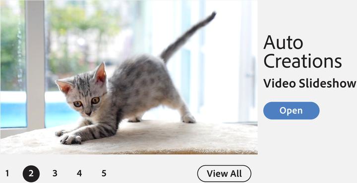 Produktbild Adobe Photoshop & Premiere Elements 2021 (1 User, unbegrenzt)