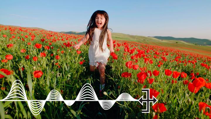 Produktbild Adobe Photoshop & Premiere Elements 2021 (1 User, unbegrenzt)