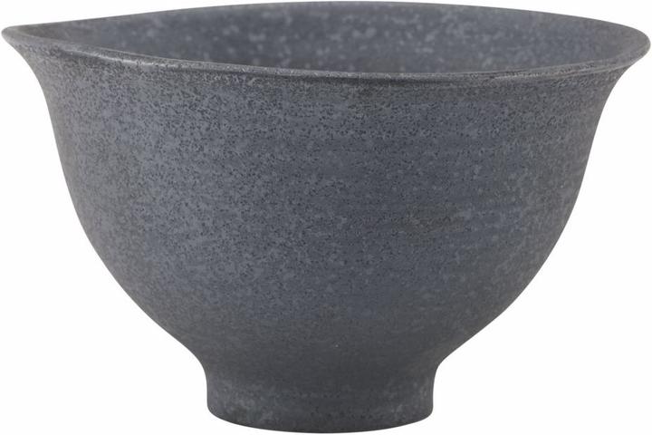 Pion (14.50 cm, 1.40 l, 1 x)