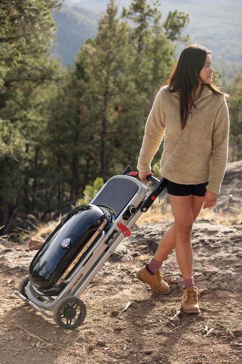 Image du produit Weber Voyageur (3.80 kW)