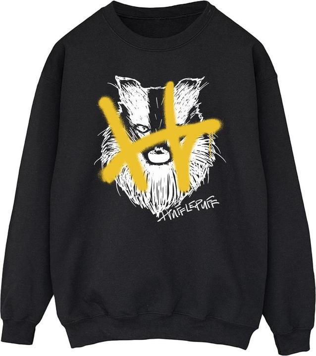 Actual product image Mens Hufflepuff Pop Spray Sweatshirt (L)