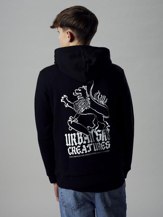 Produktbild Lmtd Loose Fit Hoodie (134)
