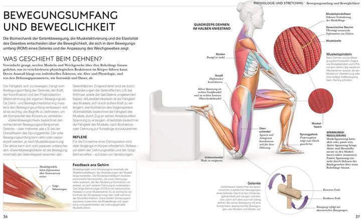 Image du produit Malek:Stretching - Die Anatomie versteh (Allemand, Leada Malek, 2023)