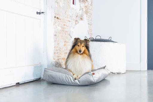 Produktbild Designed by Lotte Nalino (Hund)