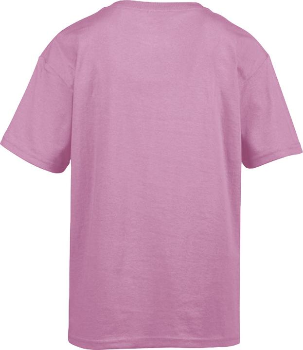 Image du produit Gildan Tee-shirt Softstyle (3XL)