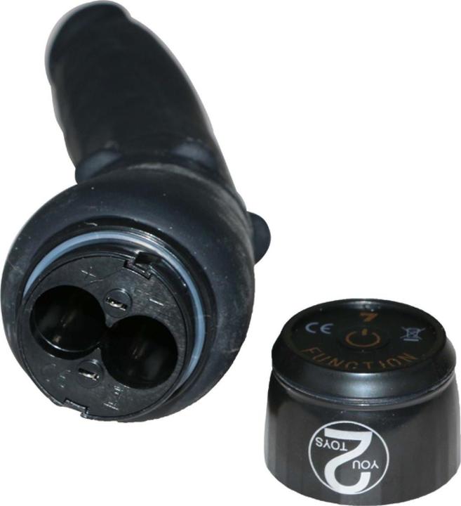 Image du produit You2Toys Lotus Vibra