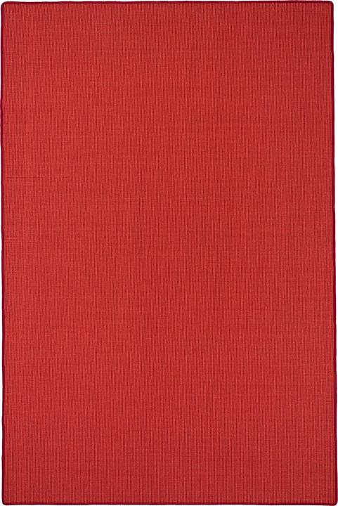 Image du produit Snapstyle Tapis en sisal naturel Classique - 9 coloris en 17 tailles (100 x 200 cm)