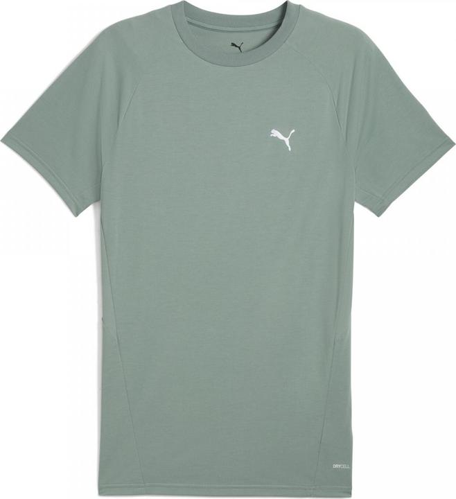 Actual product image Puma EVOSTRIPE Tea (M)