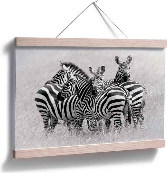 Produktbild Trenddeko Trubitsyn - Zebras in der Savanne (45 x 30 cm)