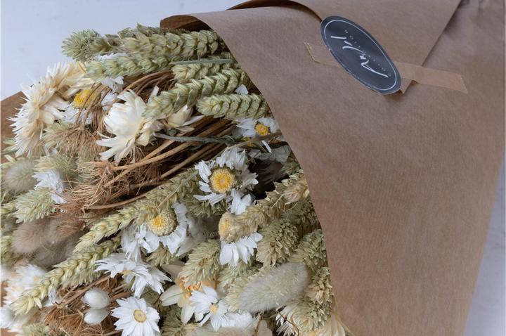 Actual product image Anjel Bianca (Dried flowers)