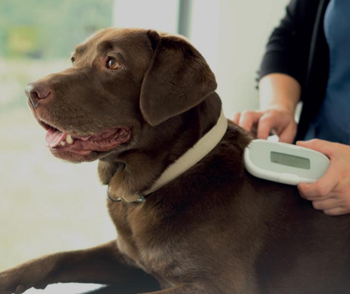 Actual product image SureFlap Universal microchip reader (Dog)