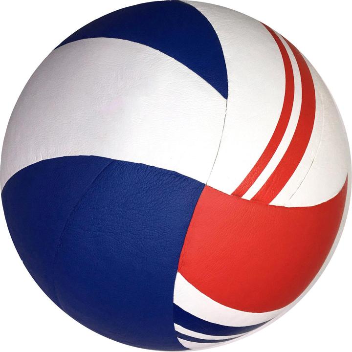 Actual product image Sport-Thieme Volleyball Gold Cup Pro