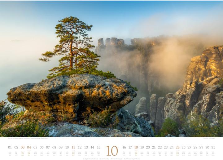 Produktbild Morgenlicht Kalender 2026 (54 x 42 cm, Englisch, Französisch, Deutsch)