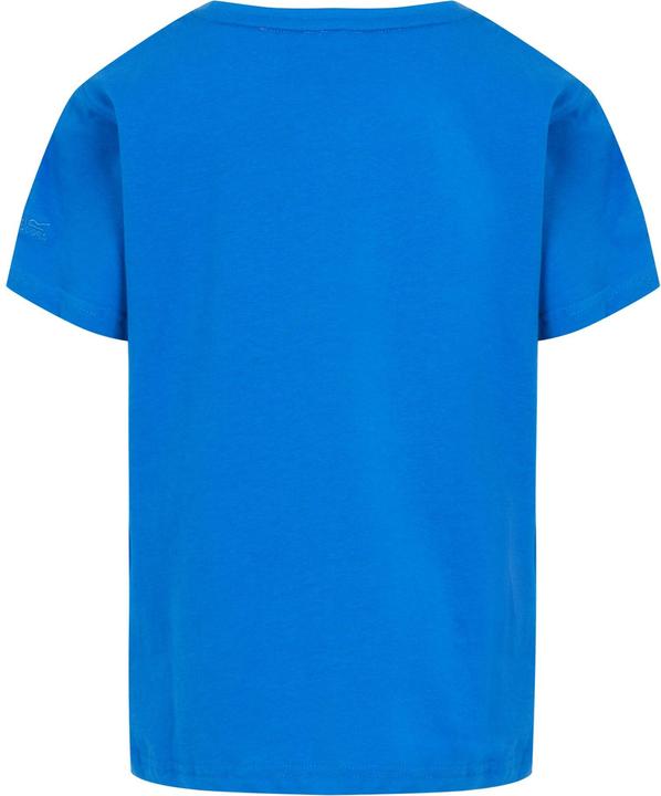 Actual product image Regatta Childrens/Kids Bosley VII Sunset T-Shirt (170, 176)