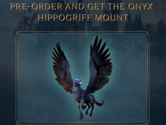 Image du produit WB Hogwarts Legacy (Xbox Series X, DE, FR)