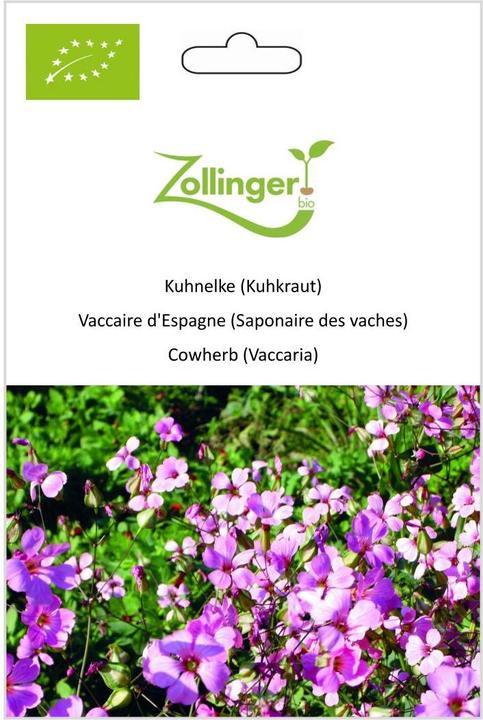 Actual product image Zollinger Bio Cowlick (Cowwort) (Bulbous plant)