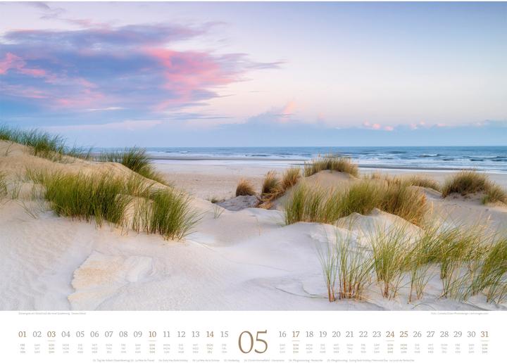 Produktbild Morgenlicht Kalender 2026 (54 x 42 cm, Englisch, Französisch, Deutsch)