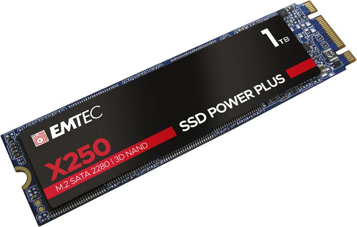 Actual product image Emtec X250 (1000 GB, M.2 2280)