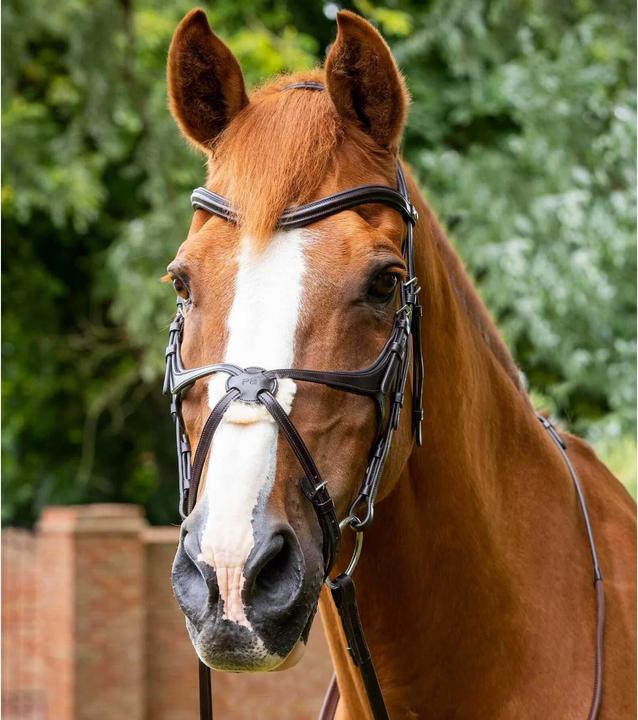 Immagine prodotto Premier Equine briglia snaffle glorioso
