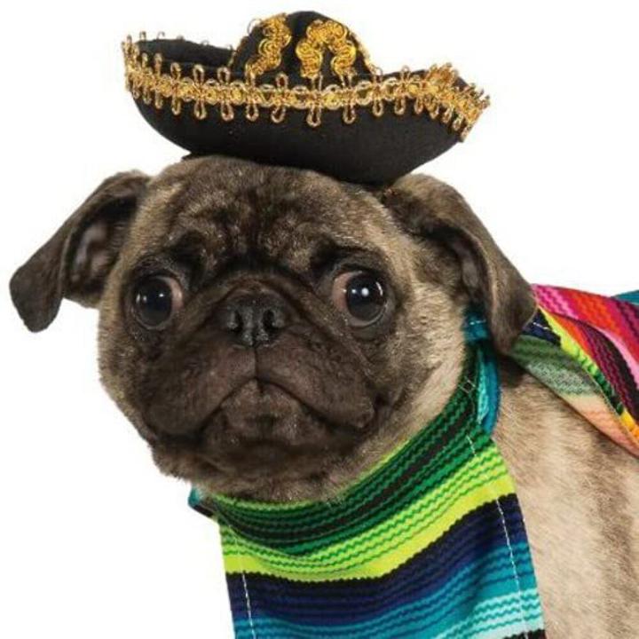 Produktbild Bristol Novelty Mexican Hundekostüm Set (S, Hundekostüm)