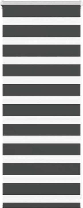 Produktbild VidaXL Verine (65 x 100 cm)