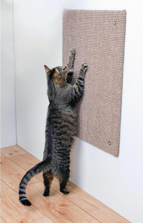 Actual product image Trixie scratching board (70 cm, Light brown)