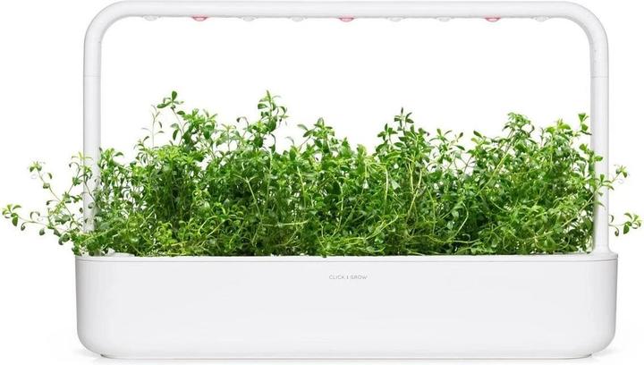 Image du produit Click and Grow Semences de sarriette des montagnes, paquet de 3 (Graines d'herbes aromatiques)