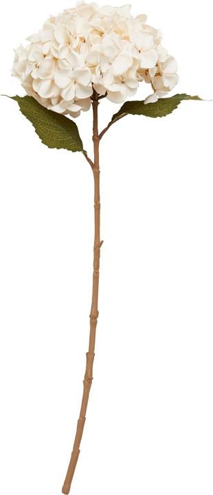 Actual product image micasa Hydrangea (65 cm)
