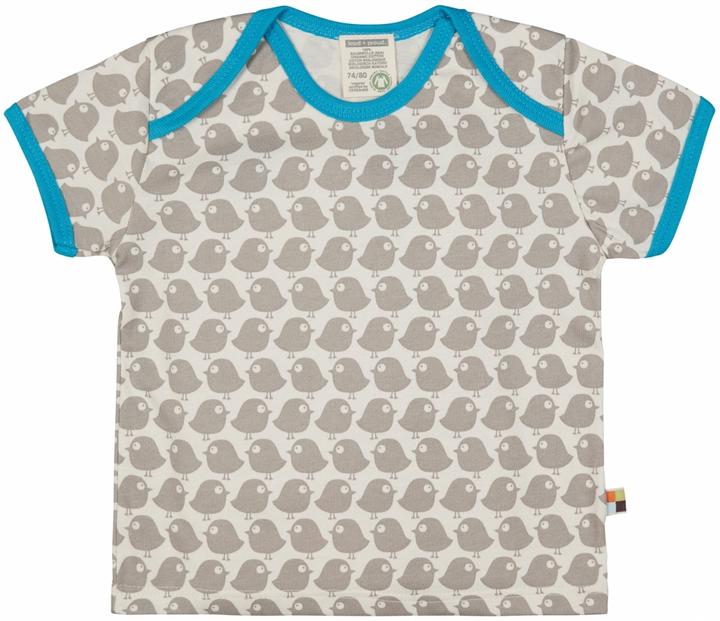 Grigio pietra