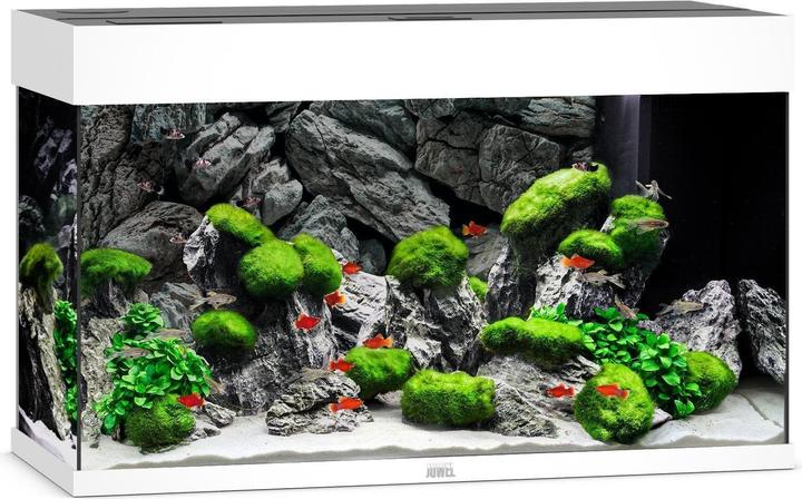 Actual product image Juwel Aquarium Rio (125 l)