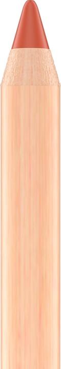 Actual product image Sante Lip Liner Soft Mineral 02 Summer Berry (02 Summer Berry)