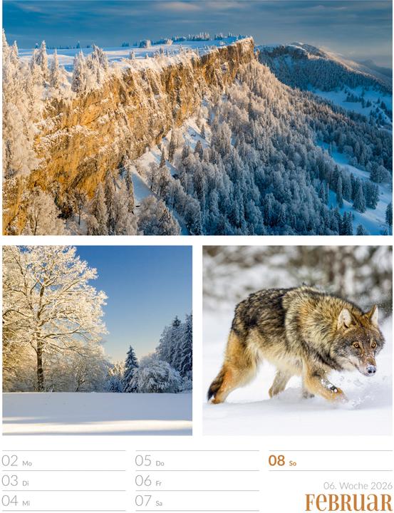 Actual product image Farben der Natur - Wochenplaner Kalender 2026 (25 x 33 cm, Hardcover, German)