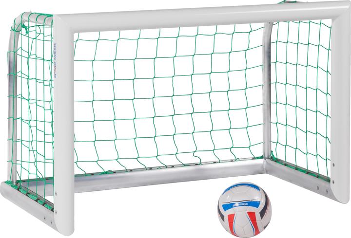 Sport-Thieme Alu-Mini-Trainingstor Professional Kompakt, Weiss-Pulverbeschichtet