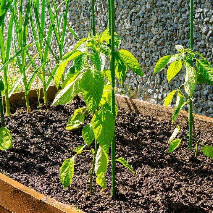 Immagine prodotto Wiltec Toboli 10x bastoni per piante verdi 120cm Ø11mm traliccio in metallo plastica per pomodori (120 cm, 1.10 cm)